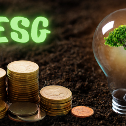 Por que as empresas estão investindo em startups ESG, seguindo uma tendência mundial